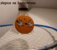 dámský badminton